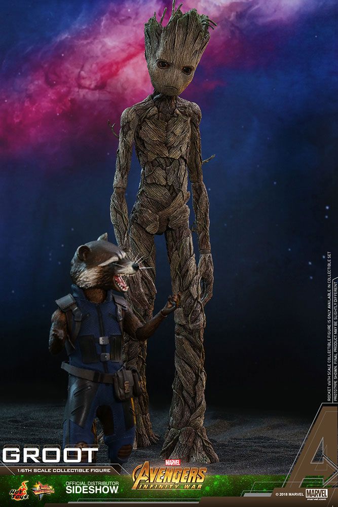 AVENGERS: INFINITY WAR - GROOT 1/6 Action Figure 30 cm HOT TOYS - immagine 3