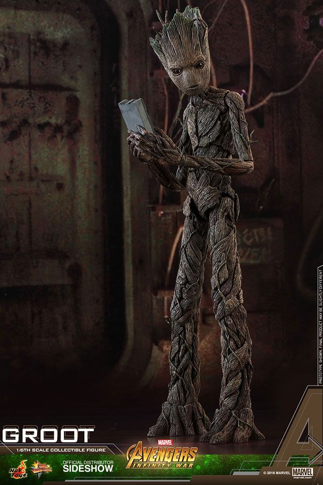 AVENGERS: INFINITY WAR - GROOT 1/6 Action Figure 30 cm HOT TOYS - immagine 4