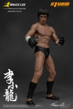 the MARTIAL ARTIST SERIES n° 02: BRUCE LEE ( ICONIC MMA OUTFIT ) 1/12 STATUE STORM COLLECTIBLES